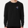 ssrcolightweight sweatshirtmens10101001c5ca27c6frontsquare productx1000 bgf8f8f8 28 - Daniel Ricciardo Store